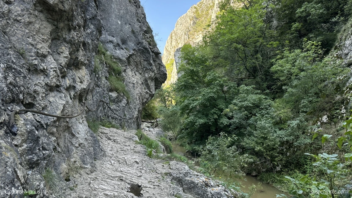Cheile Turzii
