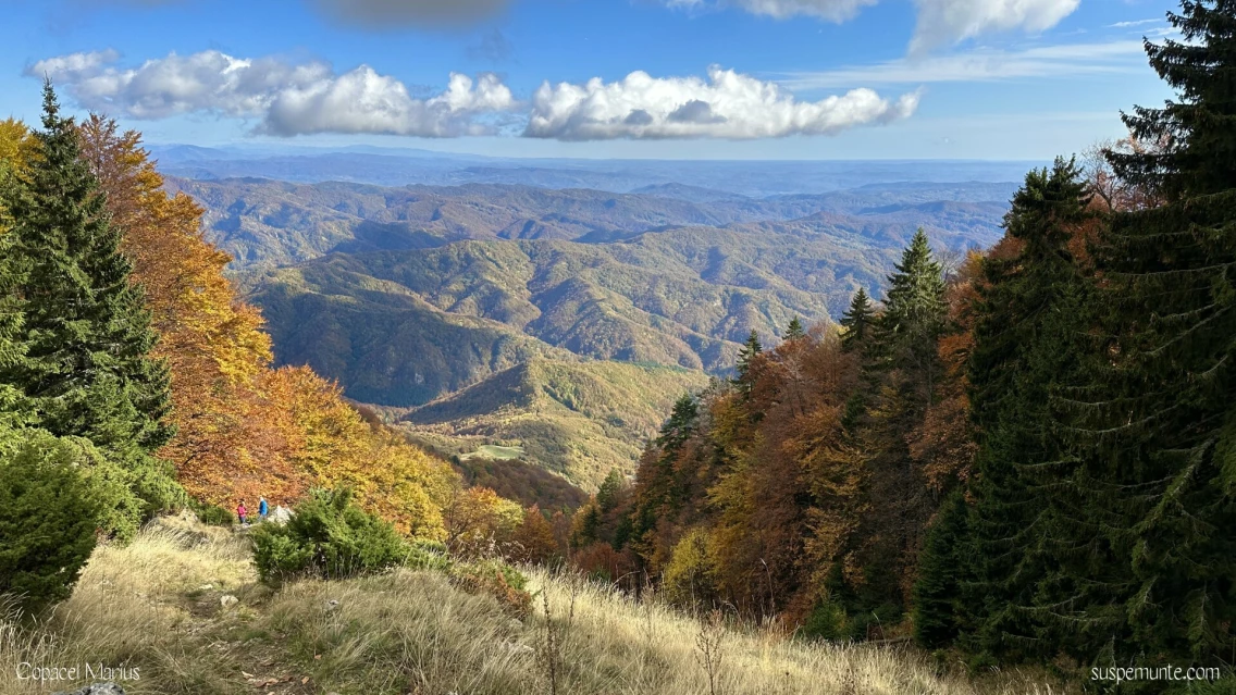 Schitul Pahomie (850m) - Saua Stevioara - Vf. Vanturarita Mare (1875m) - retur