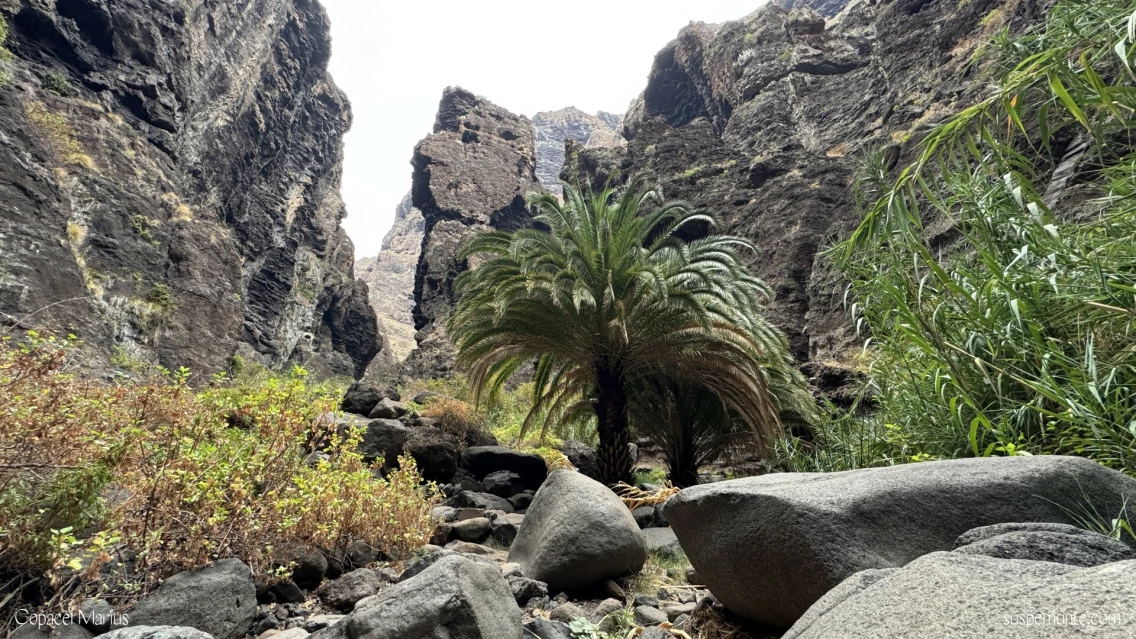Traseul Masca Tenerife – Canion