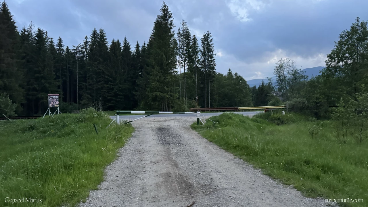 bariera traseu zaganu