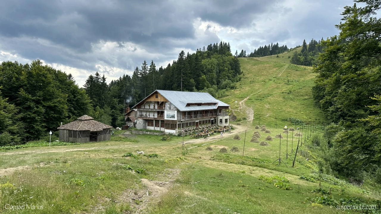 cabana garbova
