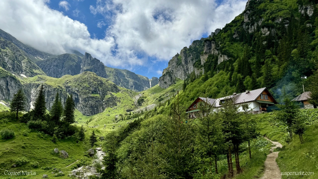 Cabana Malaiesti vara