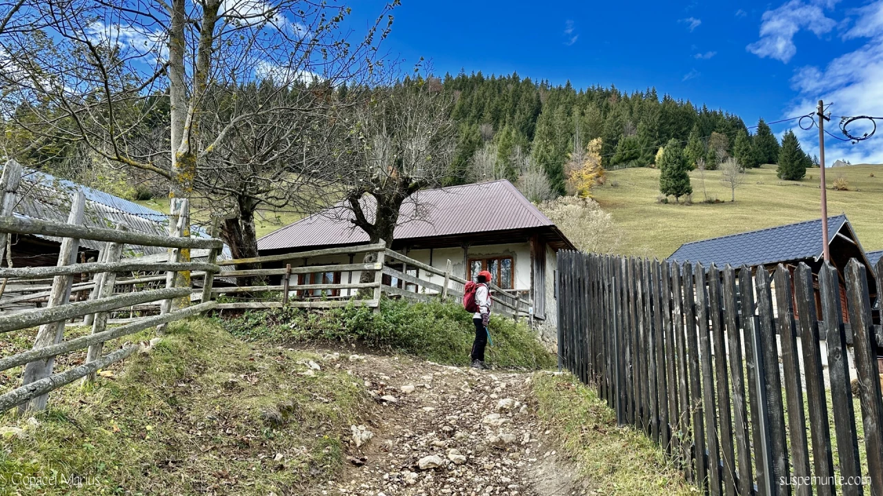 Casa Inspectorului Tisca