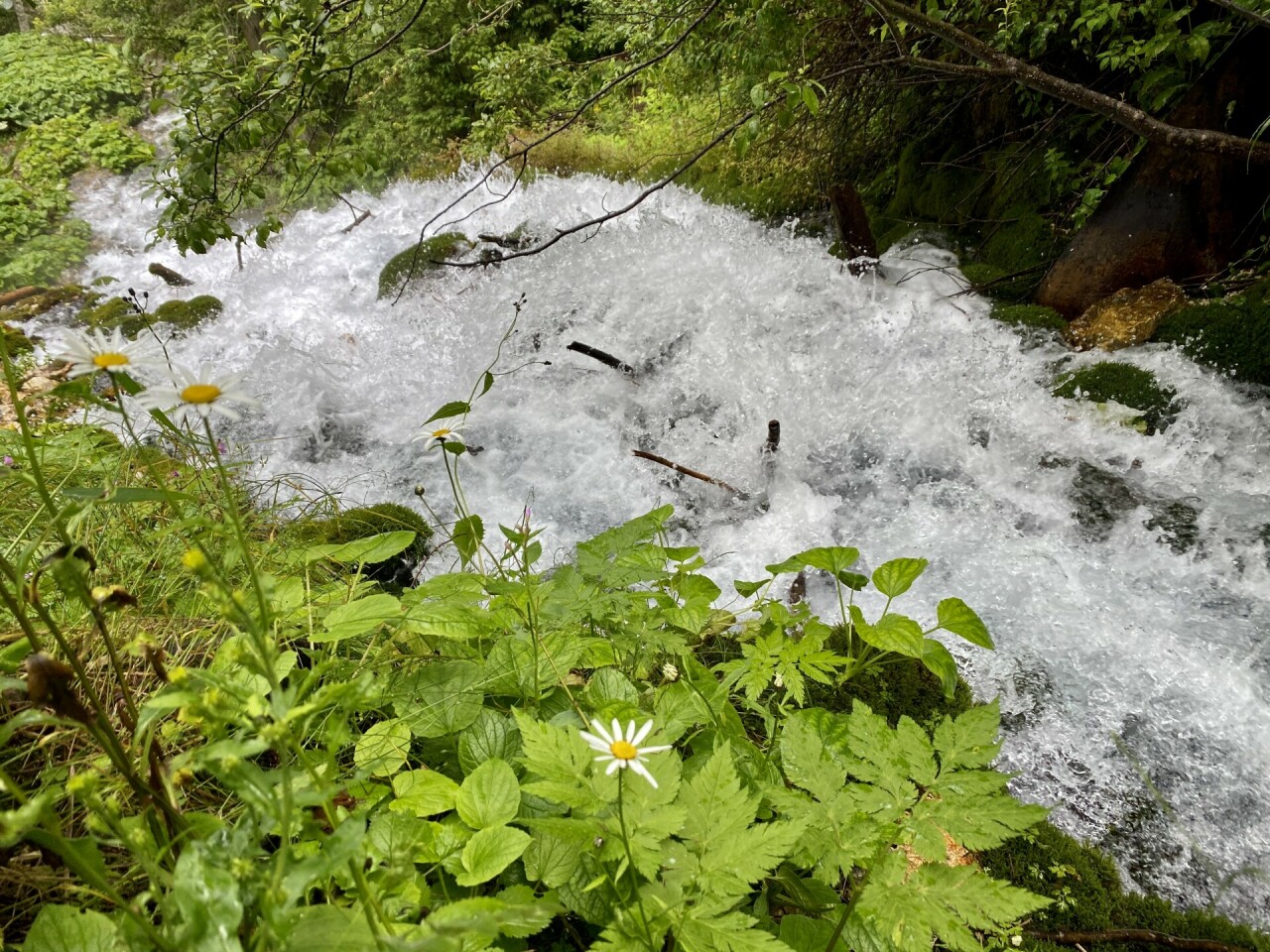 Traseu Camping Zanoaga Cheile Zanoagei Cascada 7 Izvoare Lacul Scropoasa Cheile Orzei Suspemunte