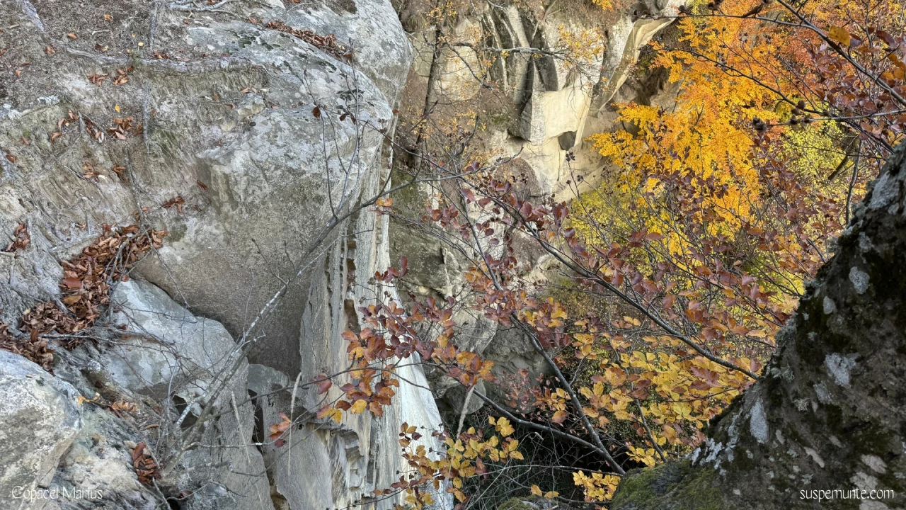Cascada Saritoarea  vedere de sus
