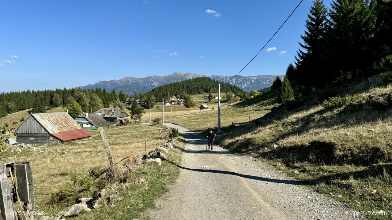 cheile gradistei fundata resort