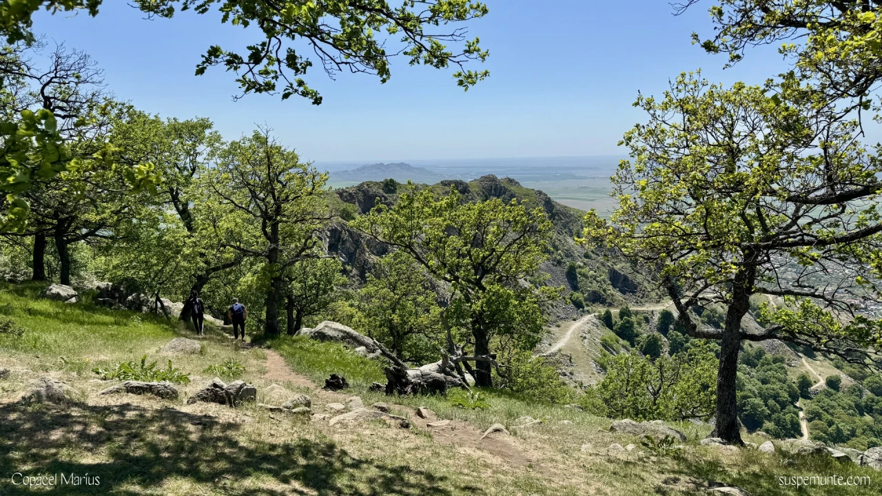Coborare de pe vf Tutuiatu
