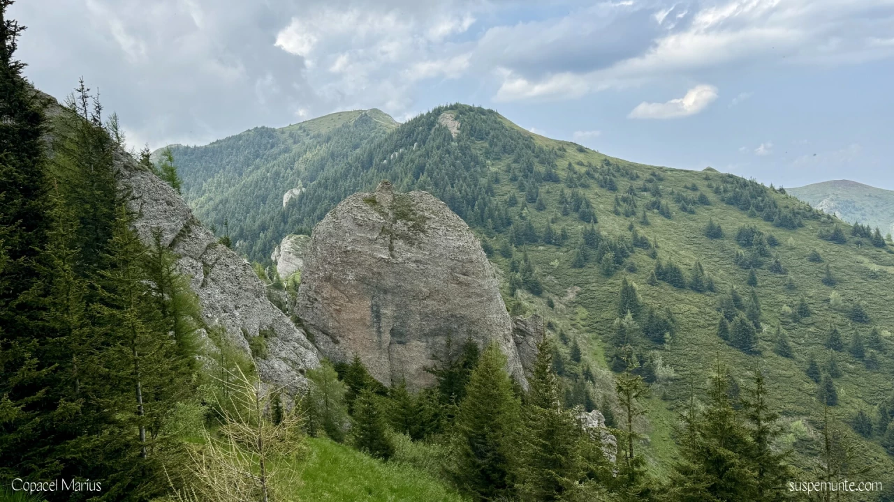 Culmea Zaganu