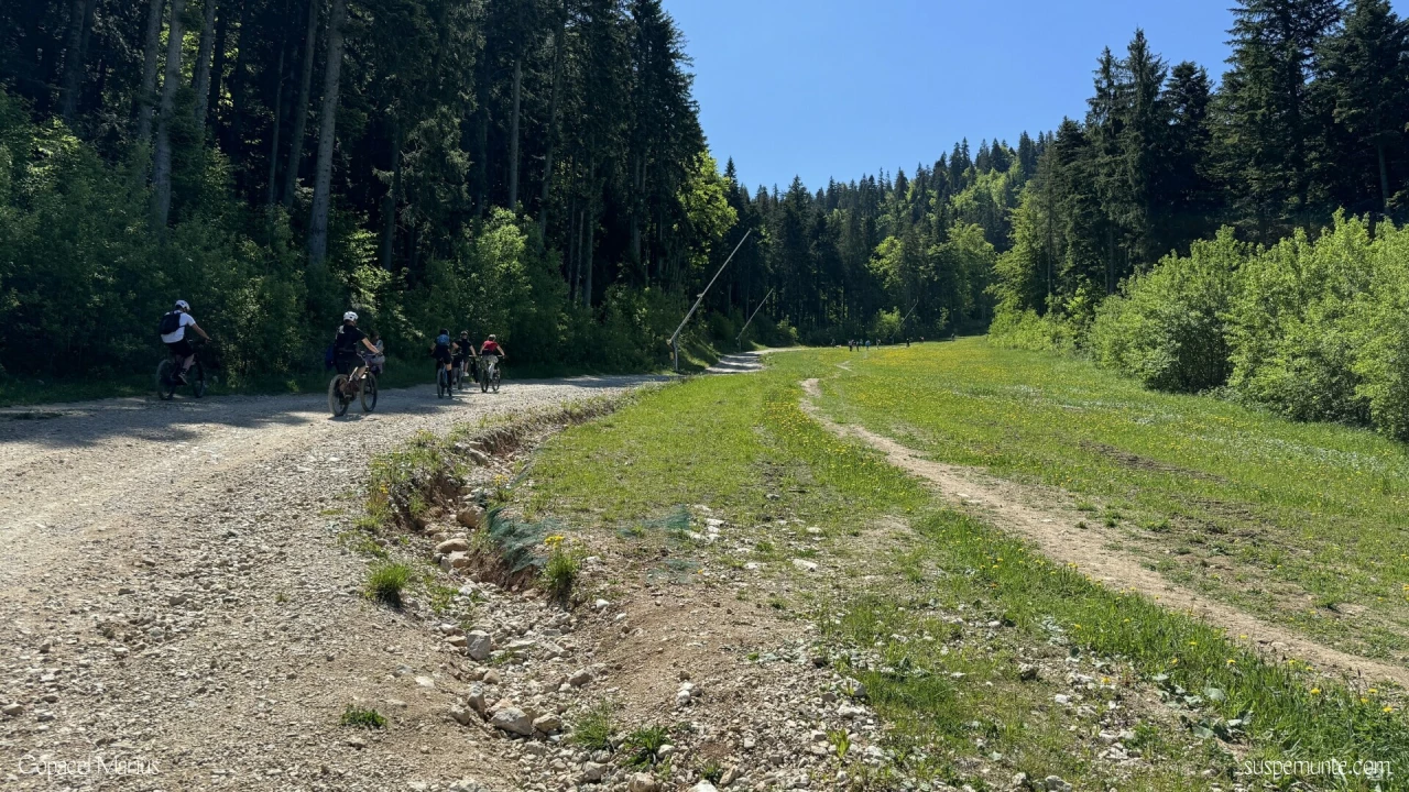 Drumu Rosu - Poiana Brasov