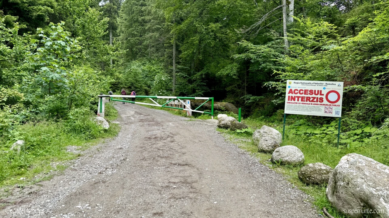 Inceput Traseu Rasnov - Cabana Malaiesti