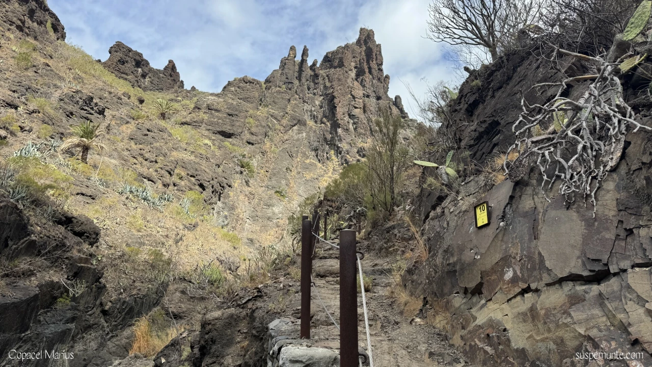 Marcaje Masca Tenerife
