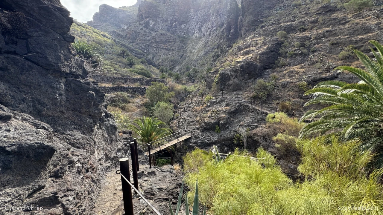 Masca Tenerife - coborare