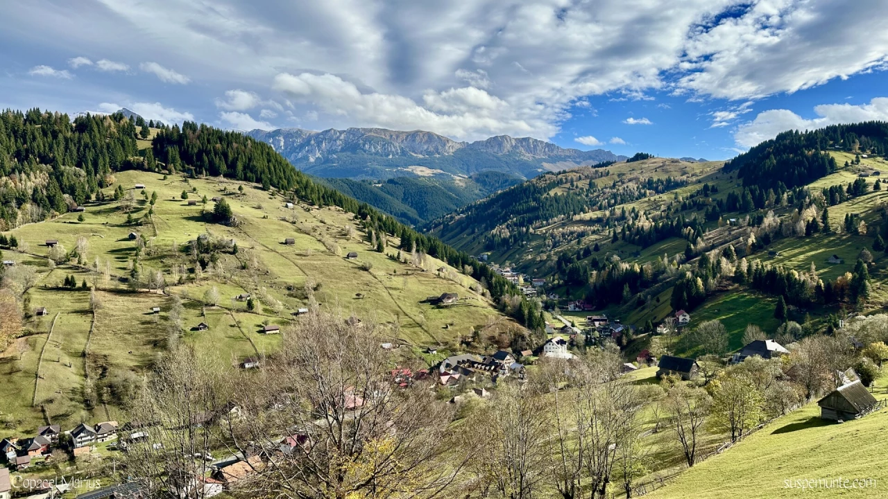 Moeciu de Sus vazut de sus