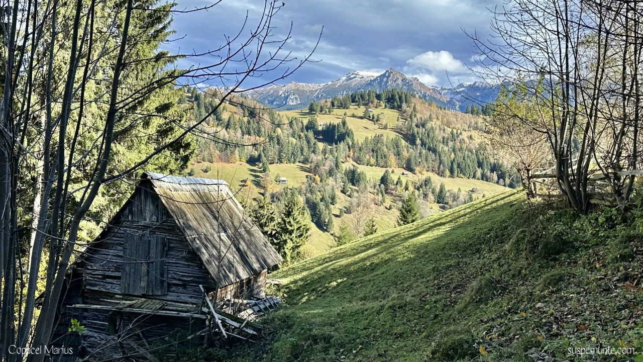 Muntii Bucegi Vazuti de pe T9 - Moeciu de Sus