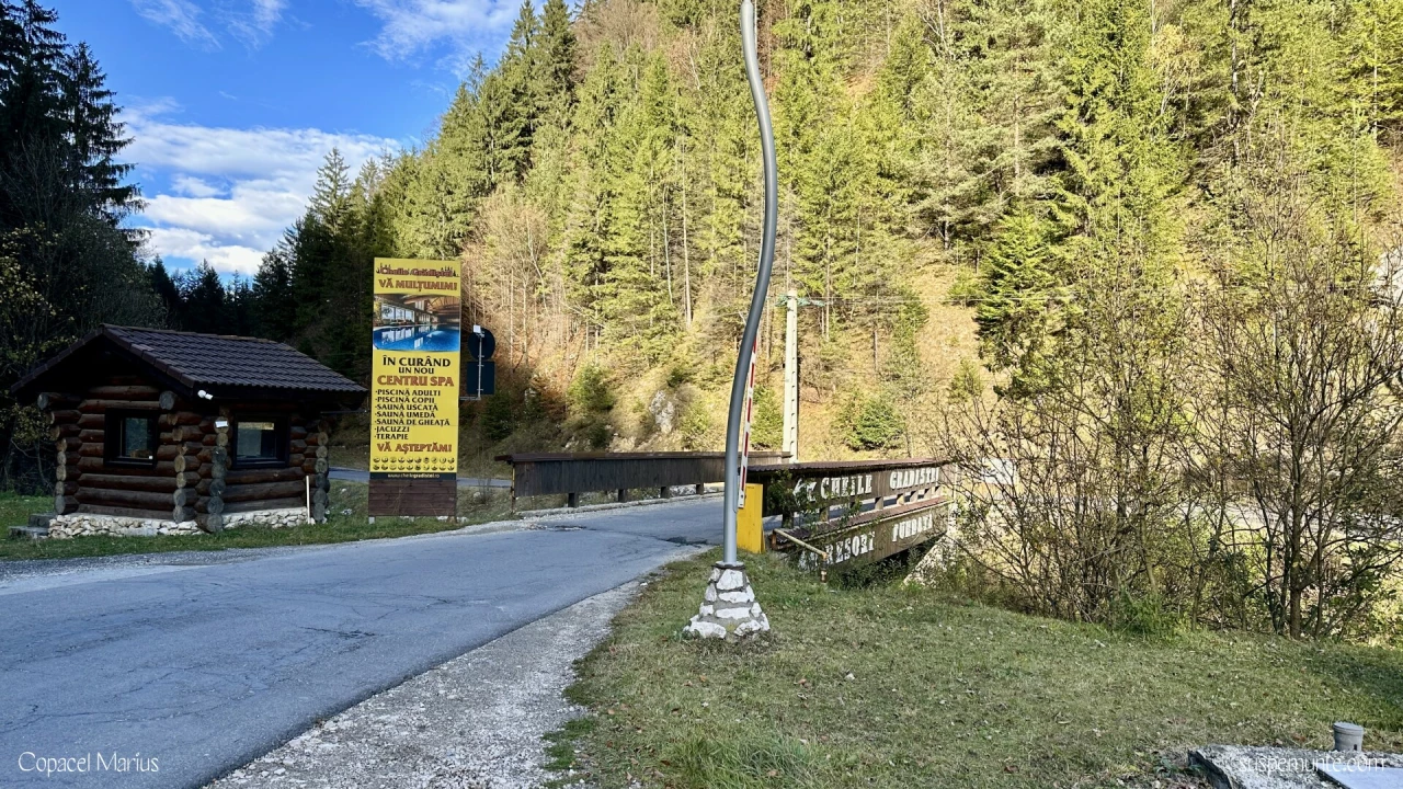 Pod Cheile Gradistei
