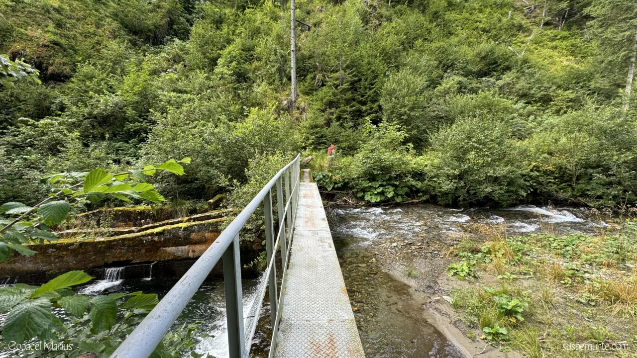Pod lacul Iezer