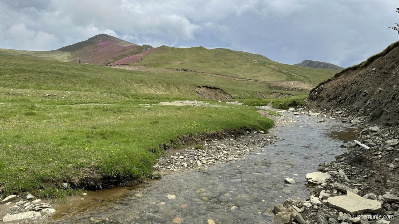 rau in valea soarelui