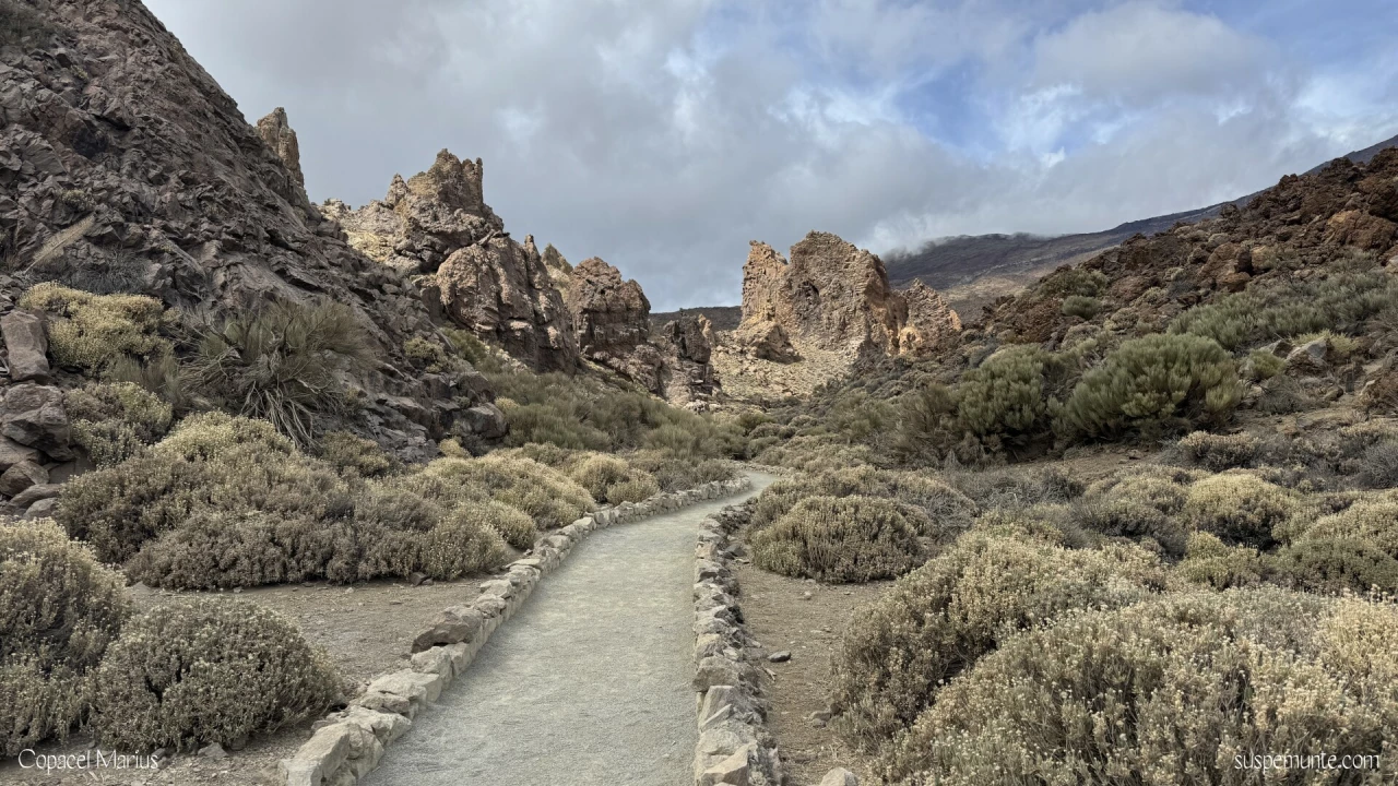 Roques de García - Teide