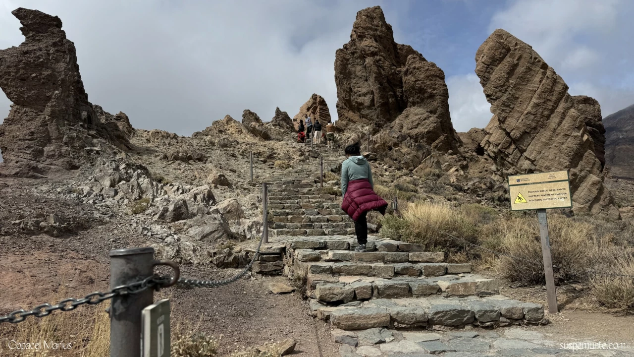 Roques de García