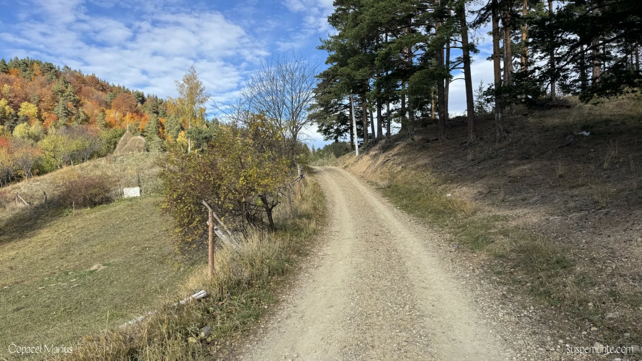 Sat Bajenari judetul Buzau