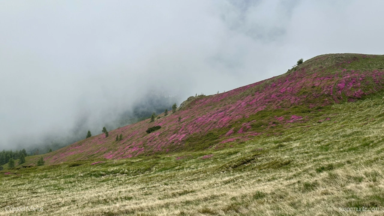 sinaia printre nori
