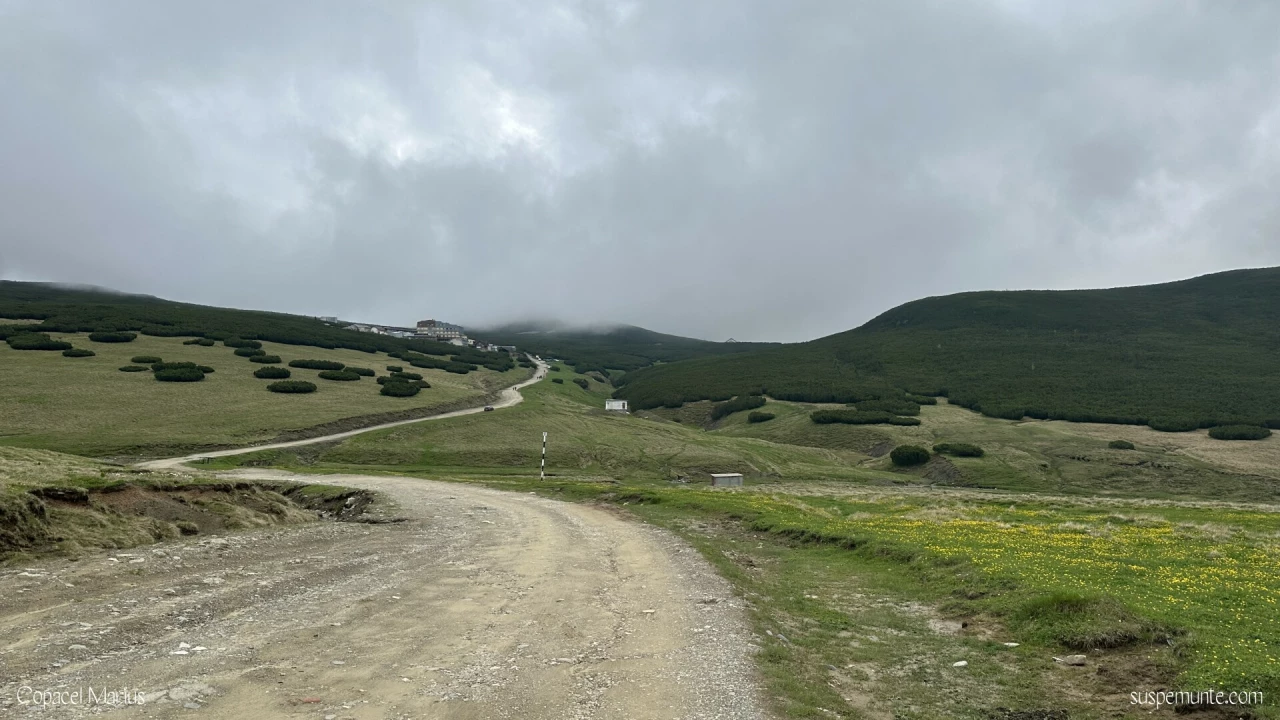 spre cabana piatra arsa