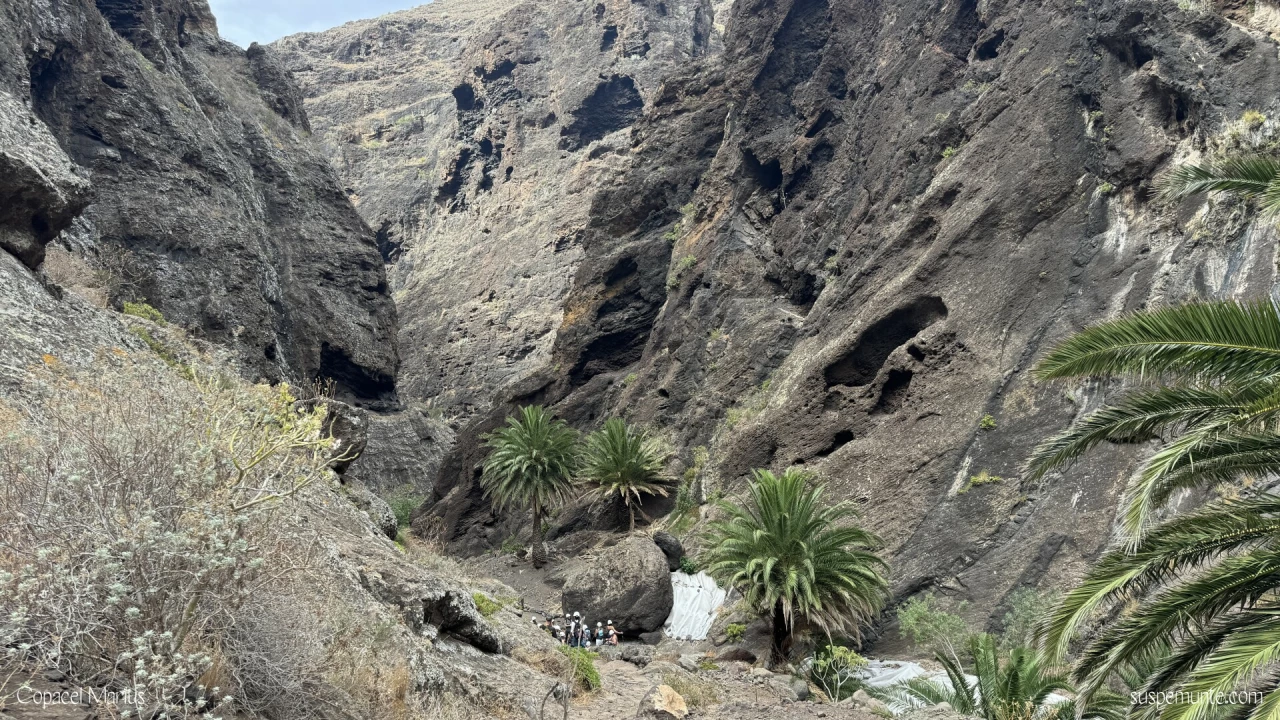 Stanci Tenerife pe traseul Masca
