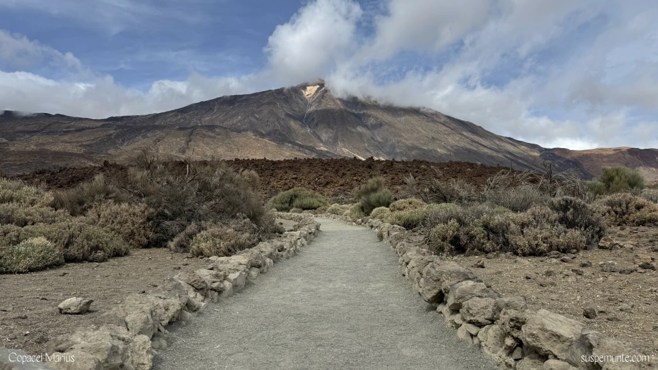 Teide Tenerife