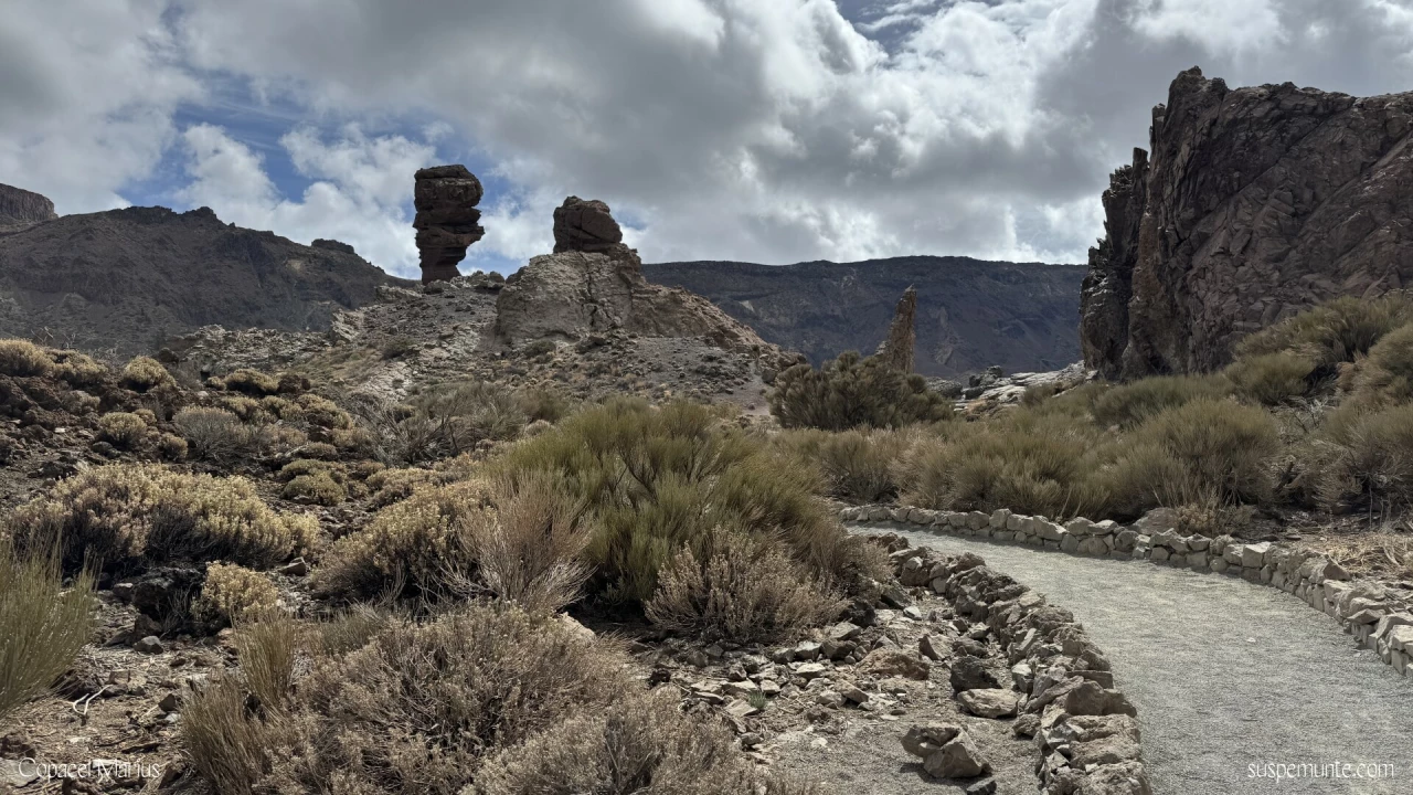 Teide traseu