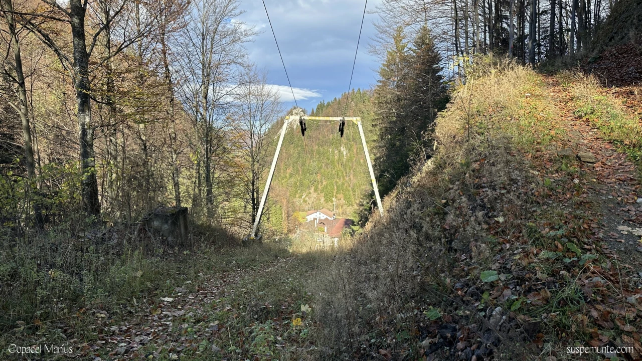 Teleschi Cheile Gradistei