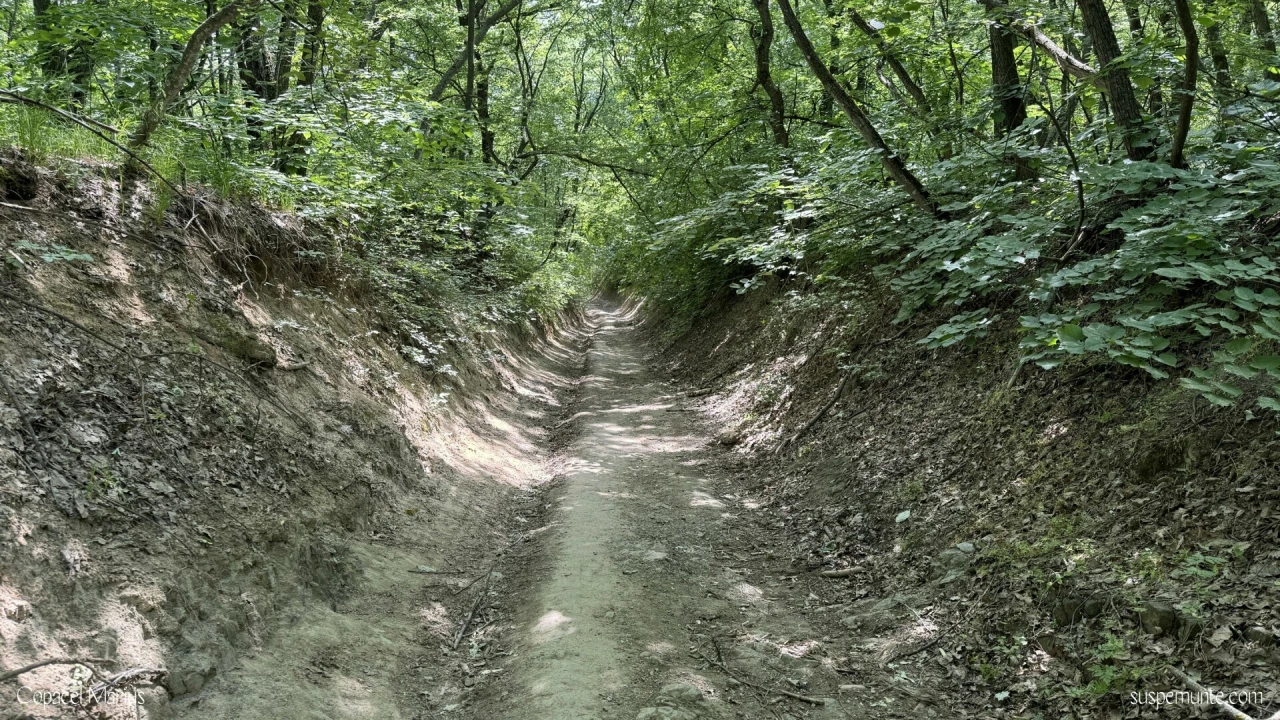 Traseu Cozluk cicloturism