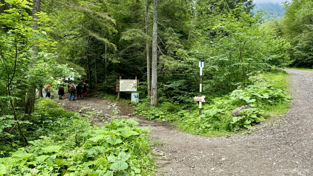 Traseu Rasnov Malaiesti