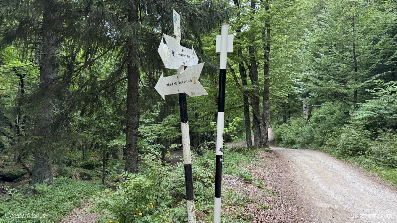 Traseu spre cabana muntele rosu