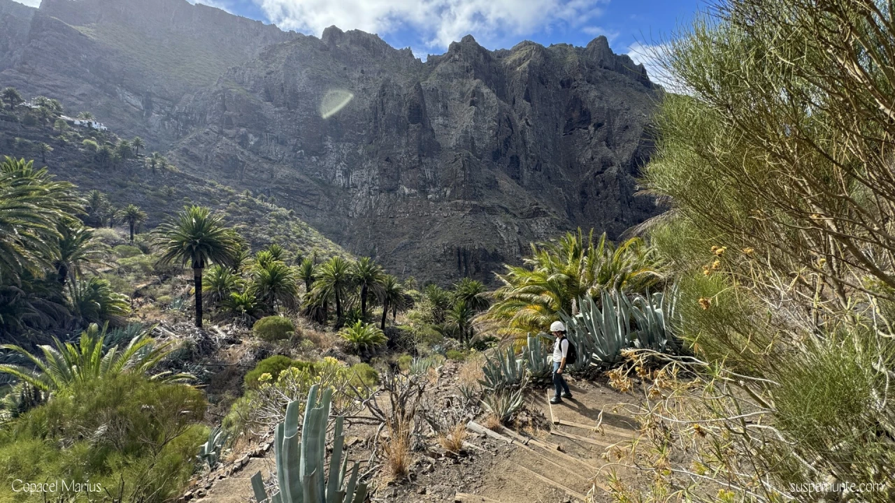 Traseul Masca Tenerife - coborare pe scari