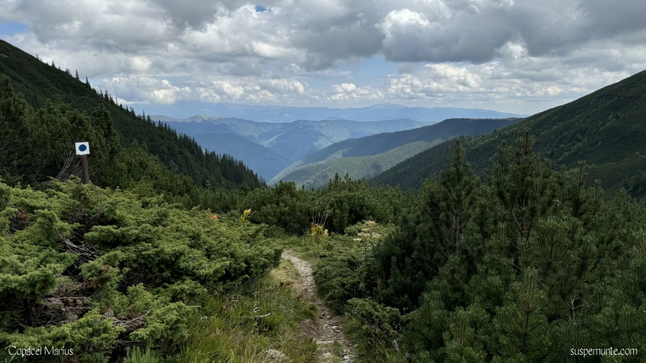 Valea Batrana