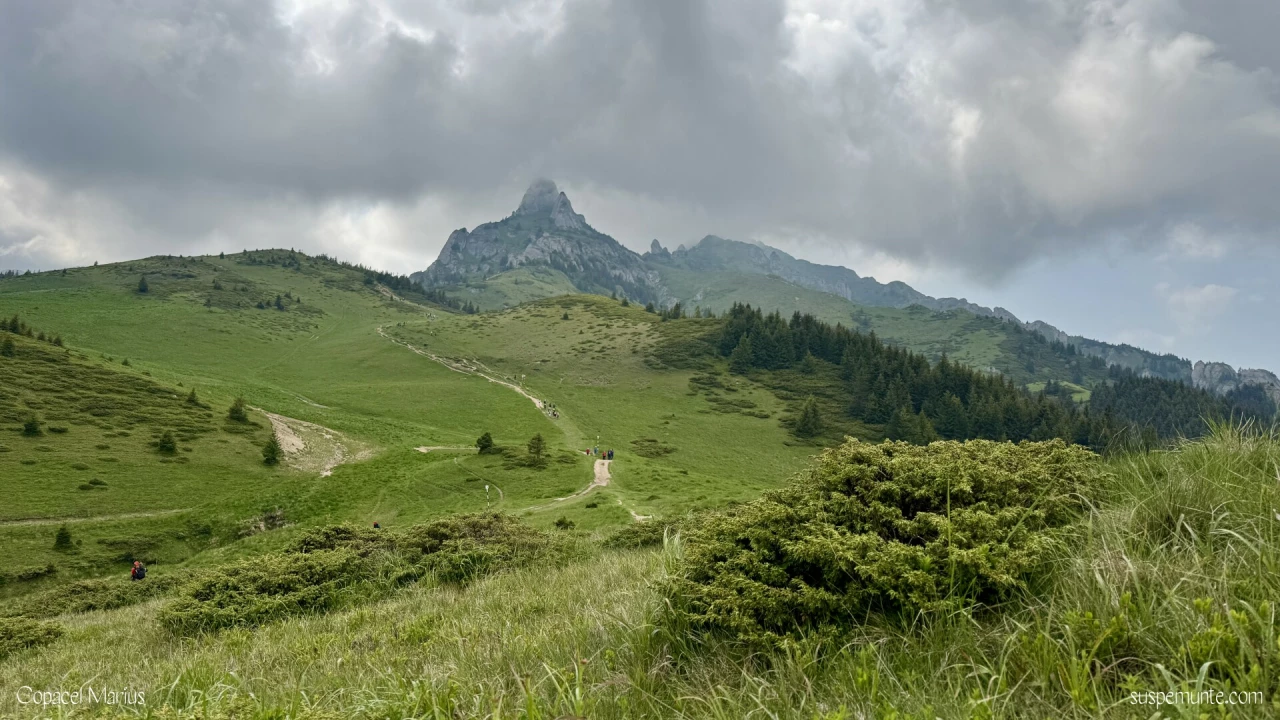 Varful Ciucas in nor