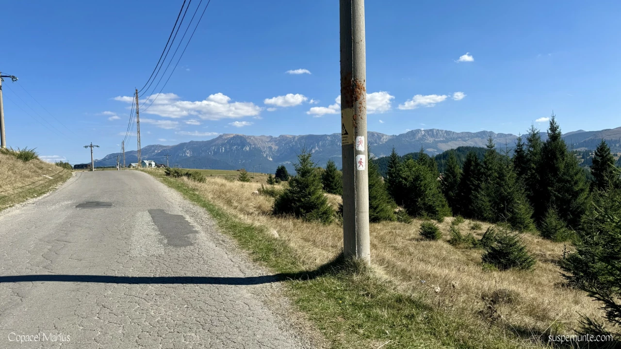 vedere catre bucegi de la scoala din fundata