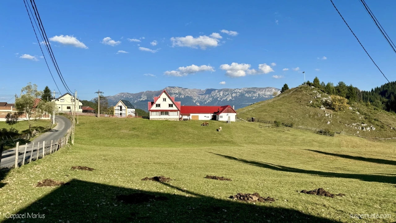 vedere catre bucegi din satul fundata