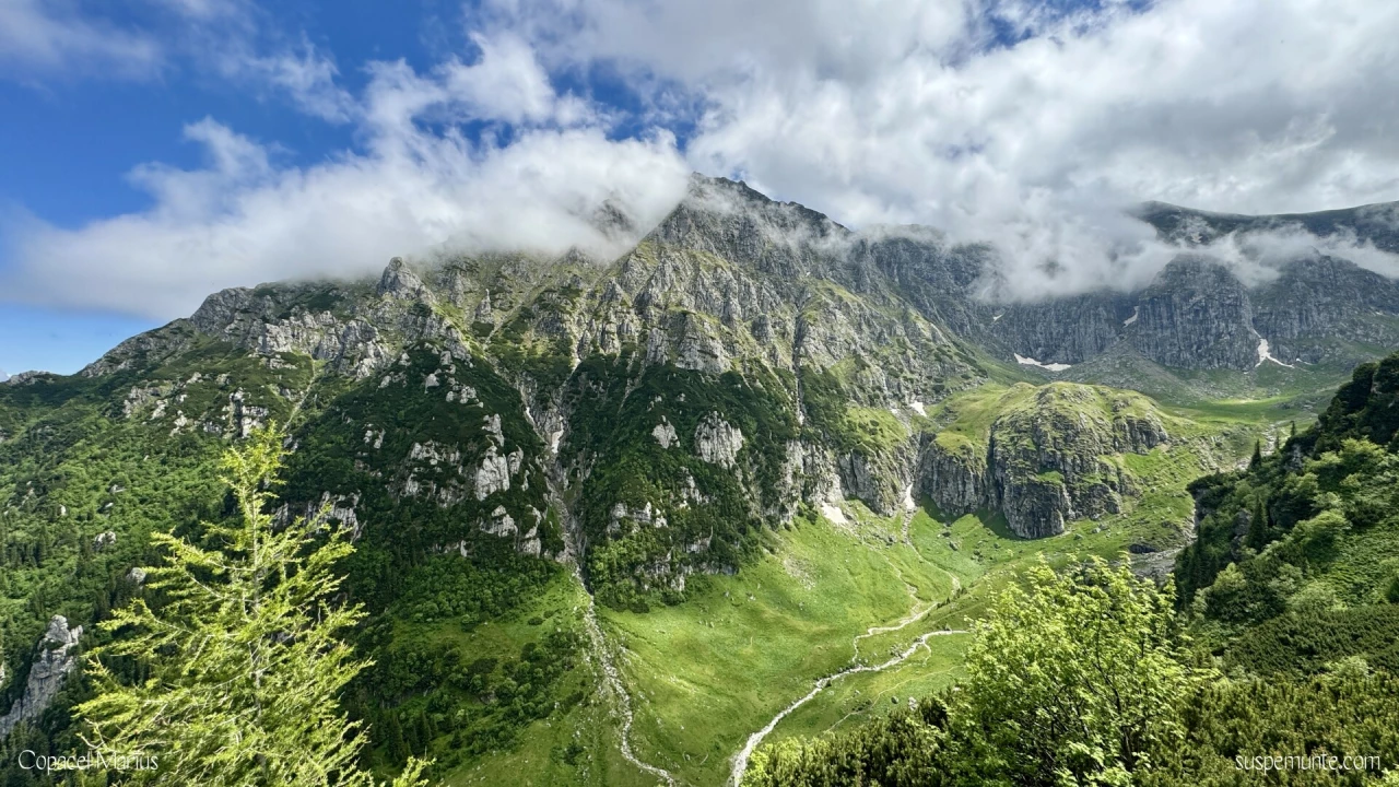 Vedere de la crucea de pe padina crucii