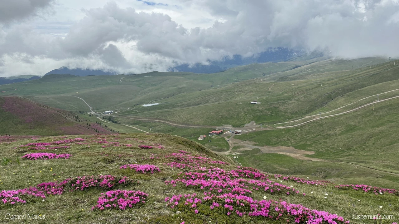vedere de pe varful cu dor spre valea soarelui