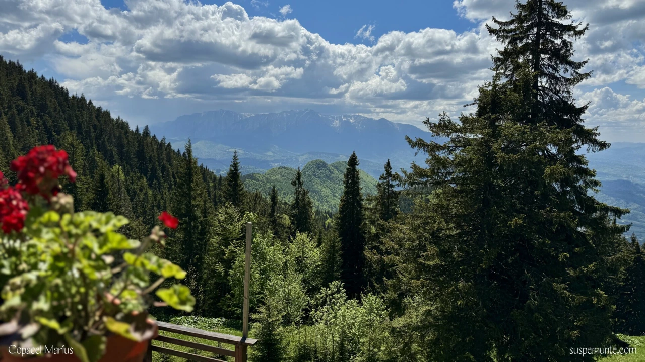 Vedere spre Bucegi de la Cabana Postavaru