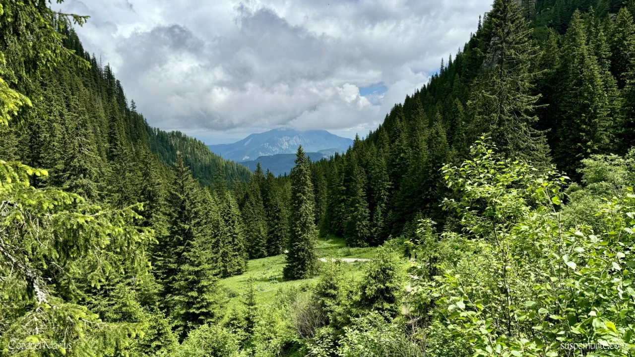 Vedere spre Postavaru de la Cabana Malaiesti