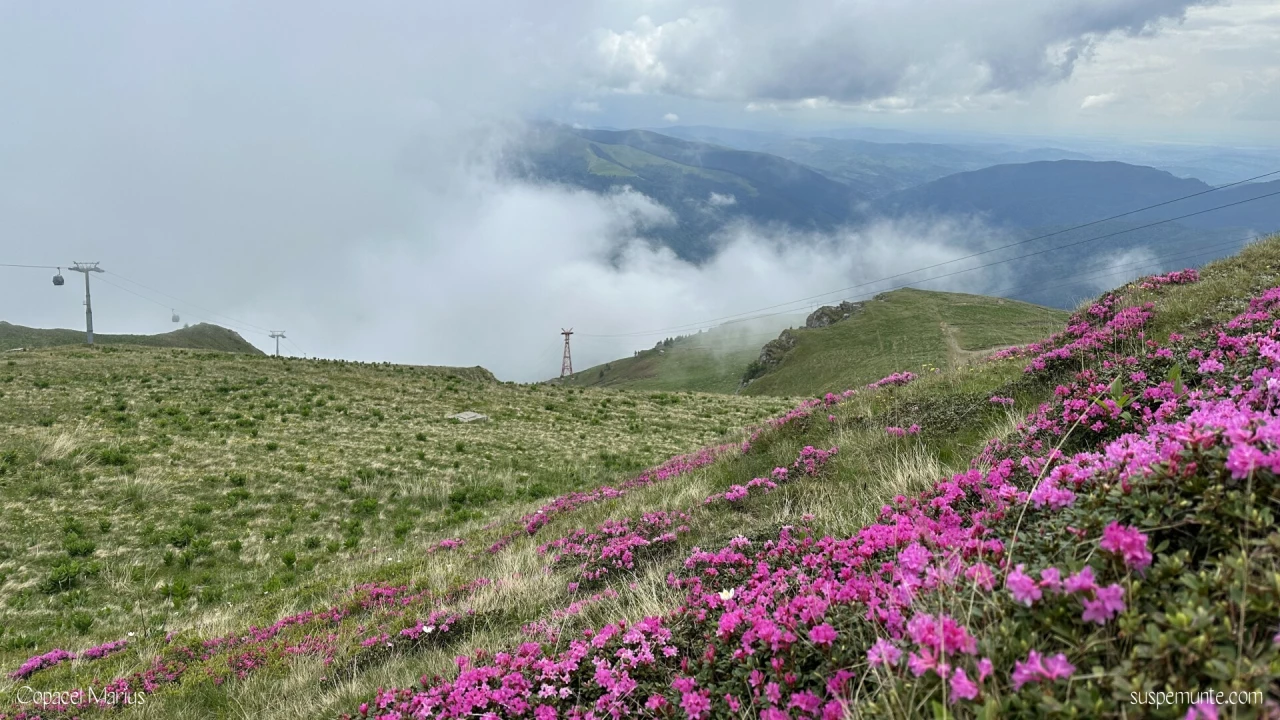 vedere spre sinaia de la cota 2000