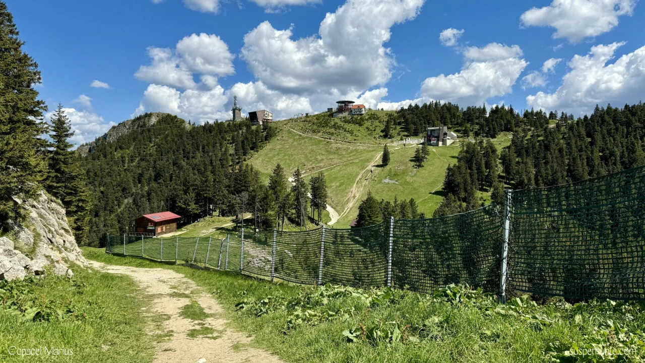 vf postavaru