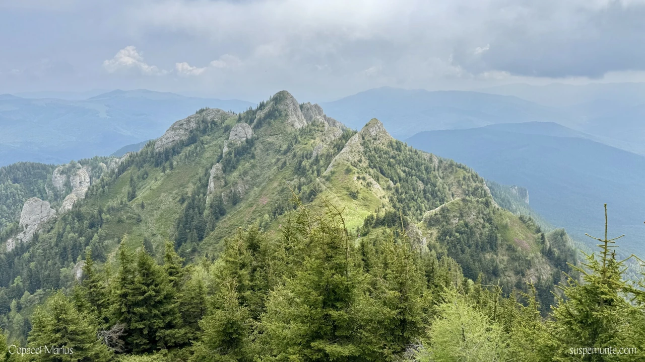 Vf. Zaganu in centru