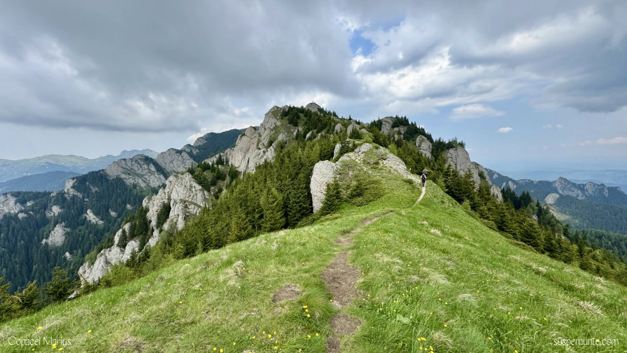 Vf. Zaganu