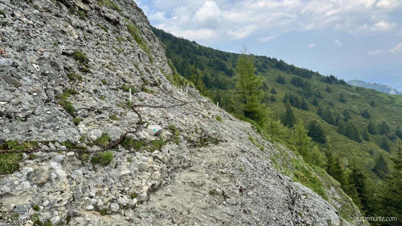 Zona lanturi Culmea Zaganu