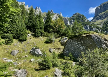 Traseu Bran (bariera sat Poarta) - Valea Gaura - Saua Hornurilor  - Valea Ciubotea - Bran (bariera sat Poarta)