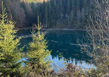 Traseu Lacul Scropoasa - Cascada 7 Izvoare
