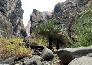 Traseul Masca Tenerife – Canion